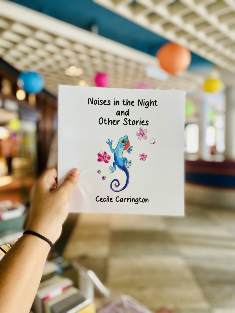Noises in the Night and Other Stories